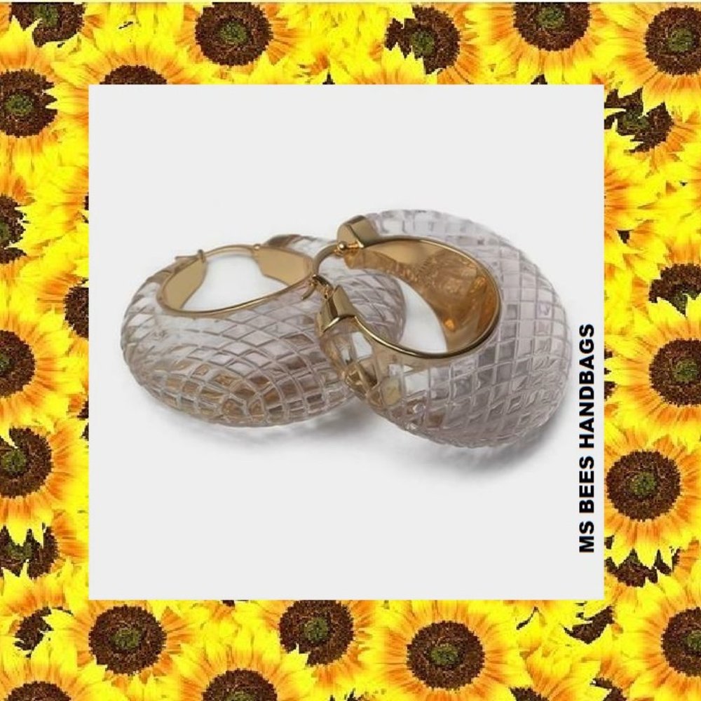 Celine Clear Lucite Earrings